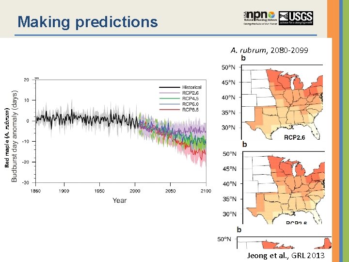 Making predictions Red maple (A. rubrum) A. rubrum, 2080 -2099 Jeong et al. ,