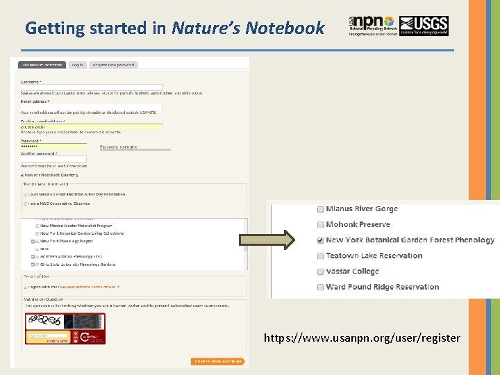 Getting started in Nature’s Notebook https: //www. usanpn. org/user/register 
