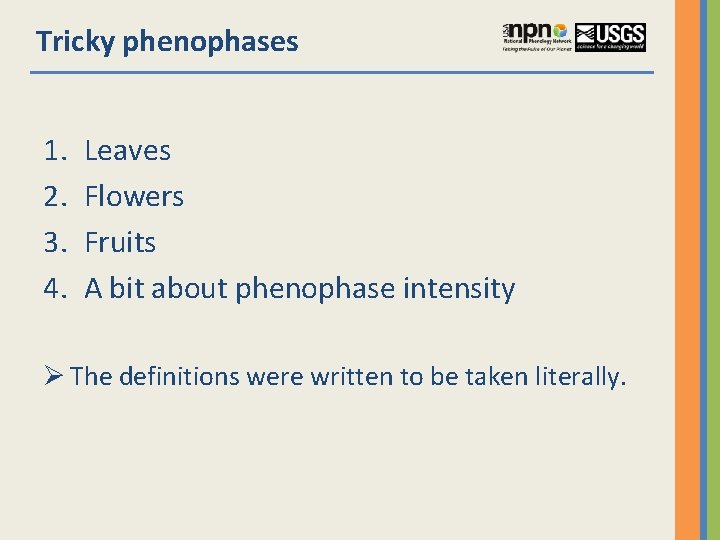 Tricky phenophases 1. 2. 3. 4. Leaves Flowers Fruits A bit about phenophase intensity