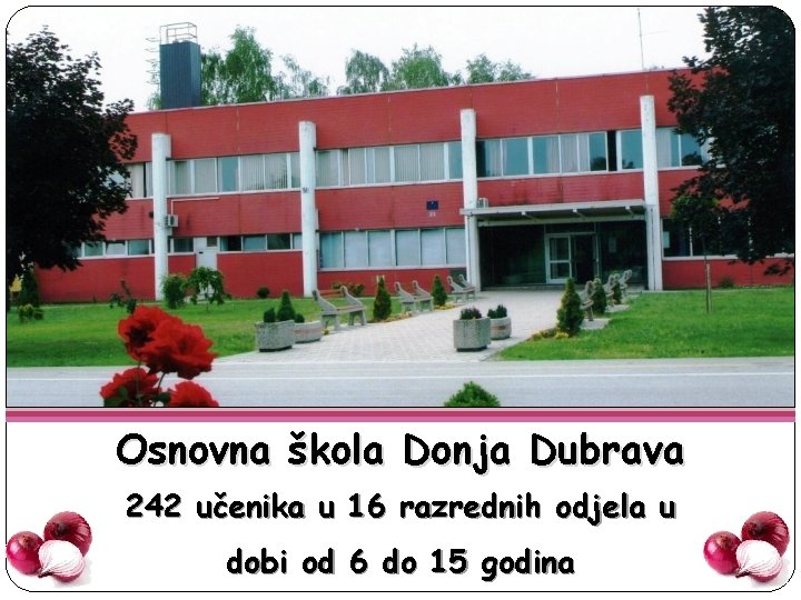 Osnovna škola Donja Dubrava 242 učenika u 16 razrednih odjela u dobi od 6