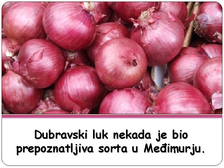 Dubravski luk nekada je bio prepoznatljiva sorta u Međimurju. 