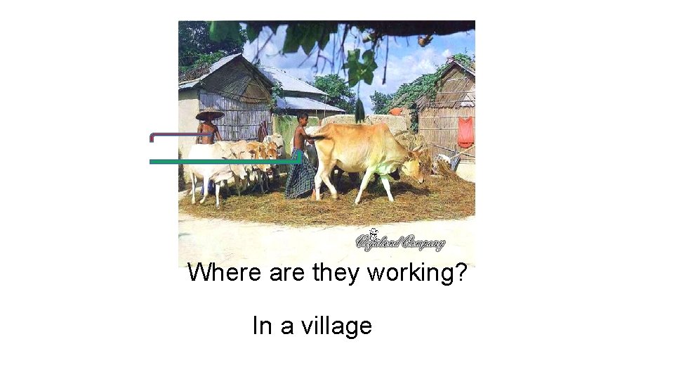 Where are they working? In a village 