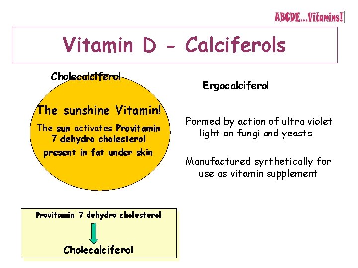 Vitamin D - Calciferols Cholecalciferol The sunshine Vitamin! The sun activates Provitamin 7 dehydro