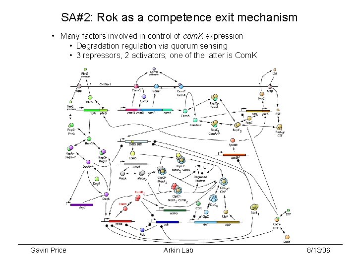 SA#2: Rok as a competence exit mechanism • Many factors involved in control of