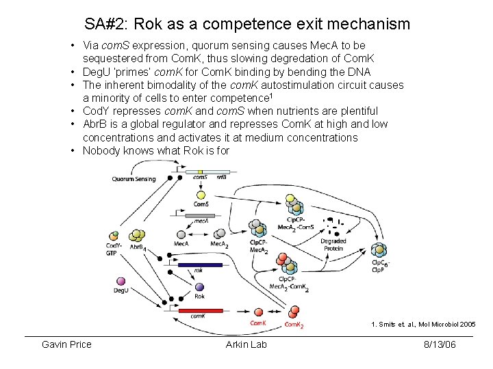 SA#2: Rok as a competence exit mechanism • Via com. S expression, quorum sensing