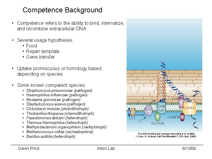 Competence Background • Competence refers to the ability to bind, internalize, and recombine extracellular