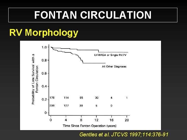 FONTAN CIRCULATION RV Morphology Gentles et al. JTCVS 1997; 114: 376 -91 