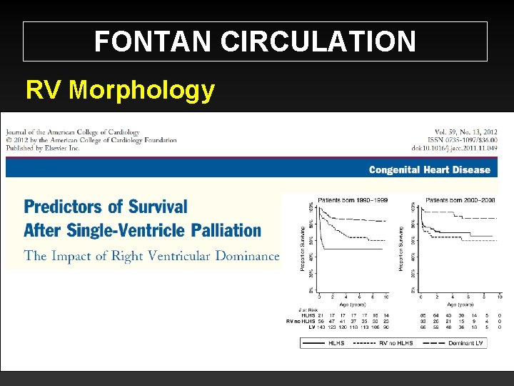 FONTAN CIRCULATION RV Morphology 