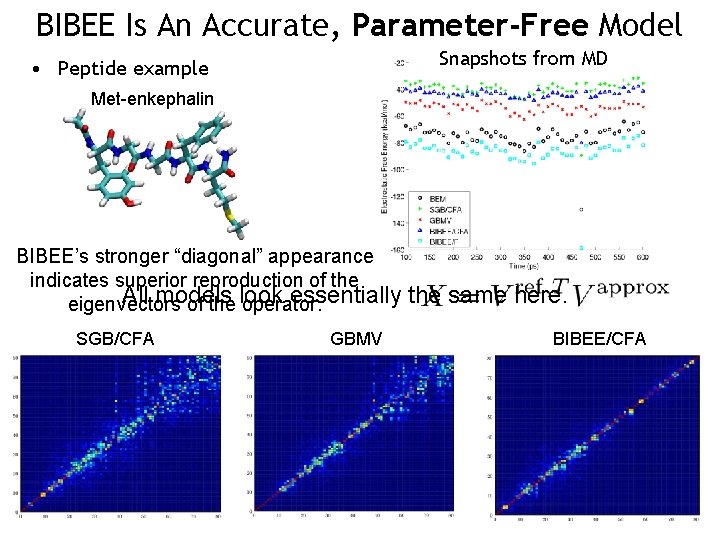 BIBEE Is An Accurate, Parameter-Free Model Snapshots from MD • Peptide example Met-enkephalin BIBEE’s