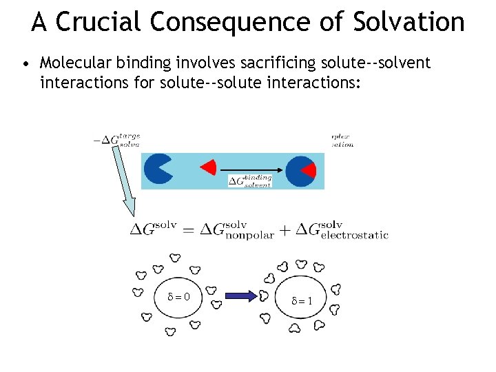 A Crucial Consequence of Solvation • Molecular binding involves sacrificing solute--solvent interactions for solute--solute
