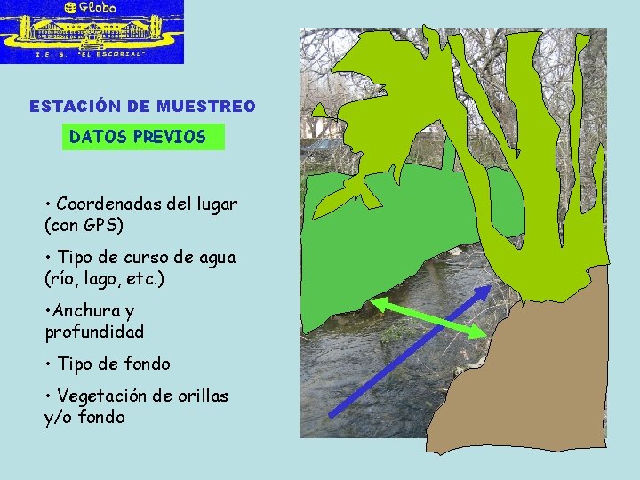 ESTACIÓN DE MUESTREO DATOS PREVIOS • Coordenadas del lugar (con GPS) • Tipo de