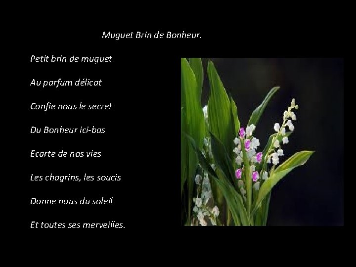 Muguet Brin de Bonheur. Petit brin de muguet Au parfum délicat Confie nous le