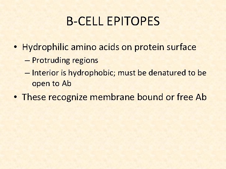 B-CELL EPITOPES • Hydrophilic amino acids on protein surface – Protruding regions – Interior