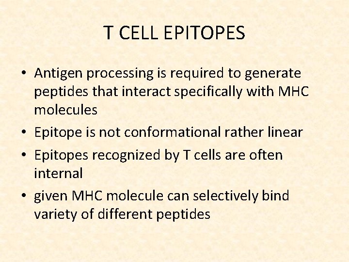 T CELL EPITOPES • Antigen processing is required to generate peptides that interact specifically