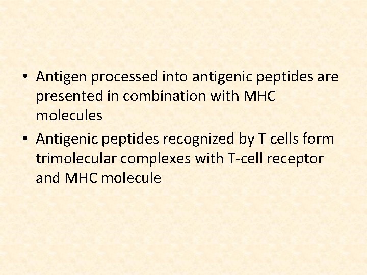  • Antigen processed into antigenic peptides are presented in combination with MHC molecules