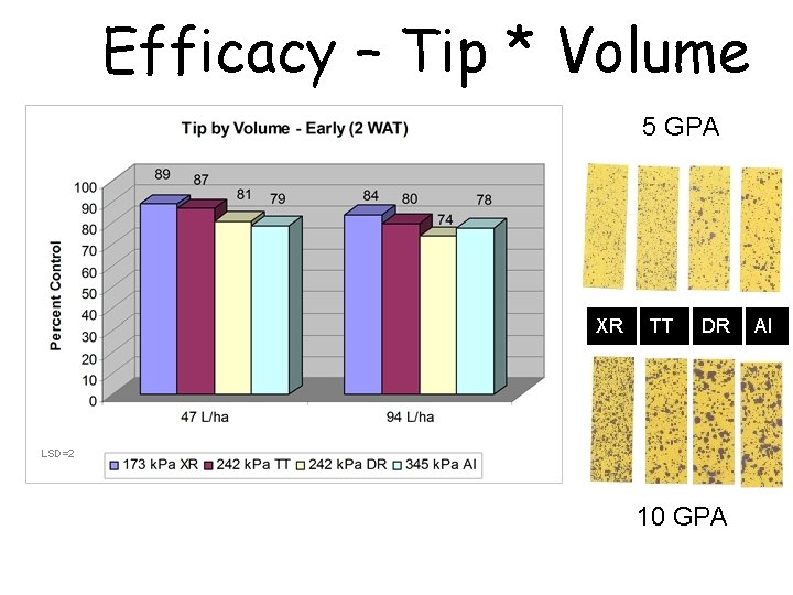 Efficacy – Tip * Volume 5 GPA XR TT DR LSD=2 10 GPA AI