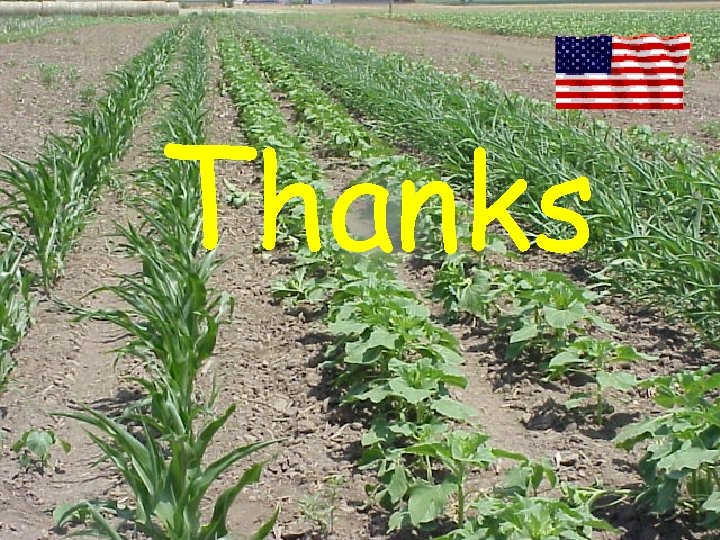 Thanks 