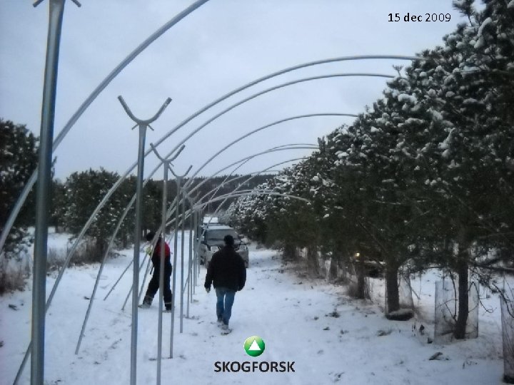 15 dec 2009 