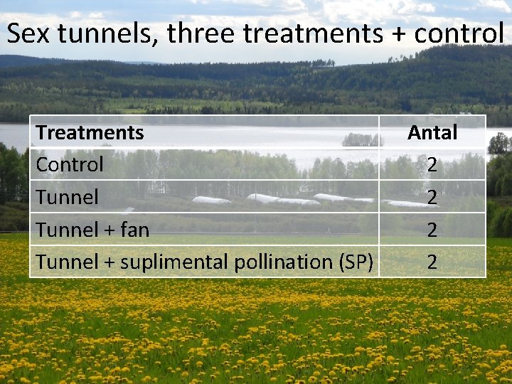 Sex tunnels, three treatments + control Treatments Control Tunnel + fan Tunnel + suplimental