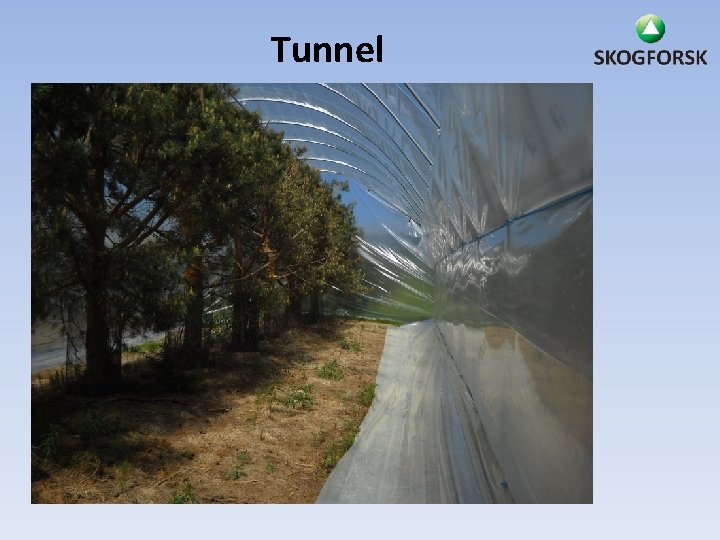 Tunnel 