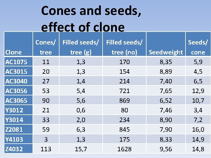 Cones and seeds, effect of clone Clone AC 1075 AC 3015 AC 3040 AC