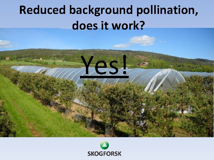 Reduced background pollination, does it work? Yes! 