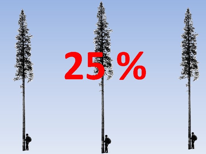 25 % 