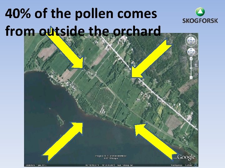 40% of the pollen comes from outside the orchard 