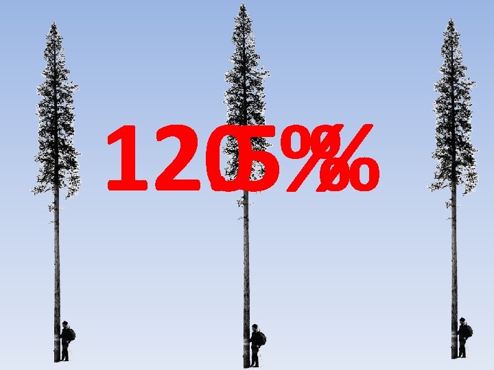 12. 5 20 %% 