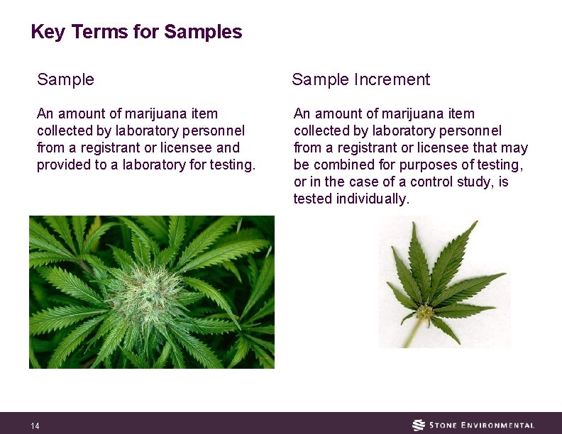Key Terms for Samples Sample Increment An amount of marijuana item collected by laboratory