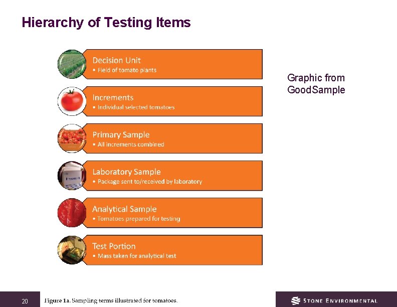 Hierarchy of Testing Items Graphic from Good. Sample 20 