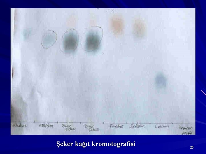 Şeker kağıt kromotografisi 25 