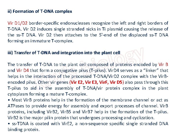 ii) Formation of T-DNA complex Vir D 1/D 2 border-specific endonucleases recognize the left