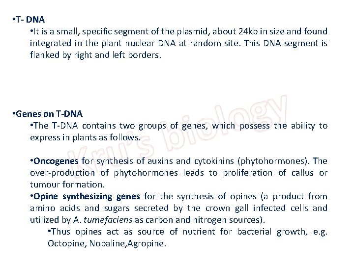  • T- DNA • It is a small, specific segment of the plasmid,