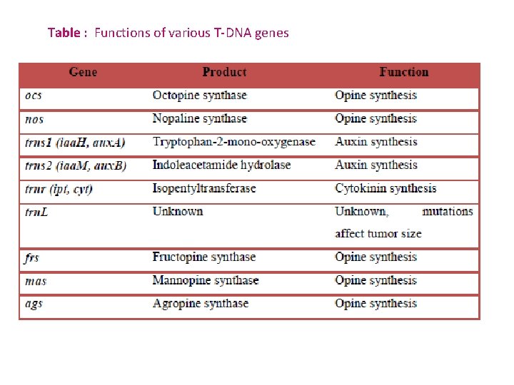 Table : Functions of various T-DNA genes 