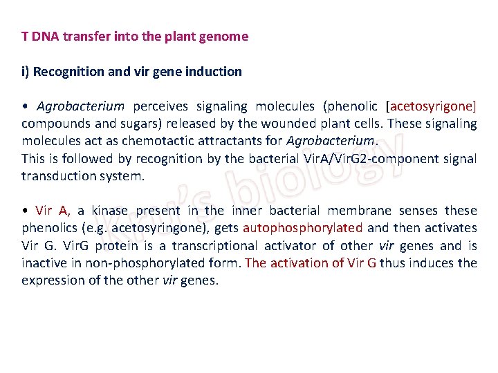 T DNA transfer into the plant genome i) Recognition and vir gene induction •