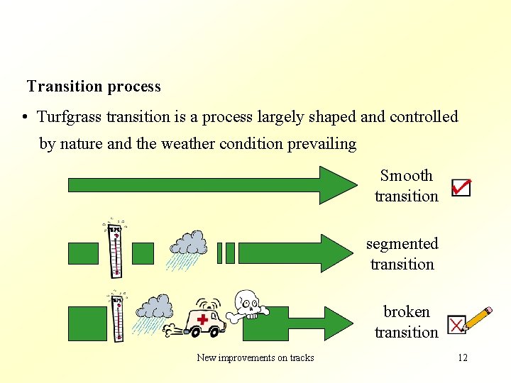 Transition process • Turfgrass transition is a process largely shaped and controlled by nature