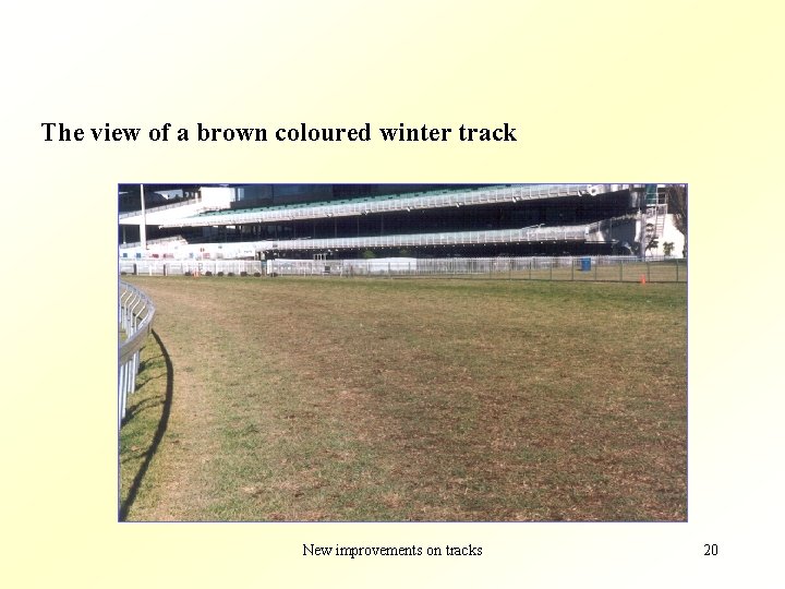 The view of a brown coloured winter track New improvements on tracks 20 