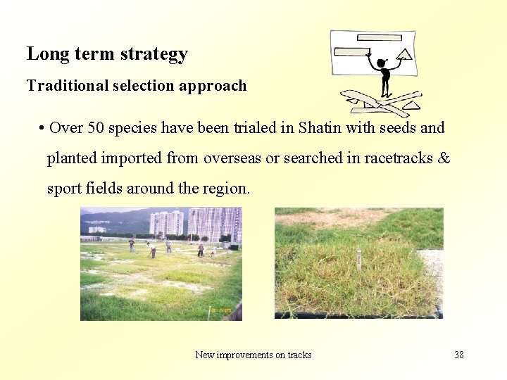 Long term strategy Traditional selection approach • Over 50 species have been trialed in