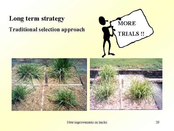 Long term strategy Traditional selection approach New improvements on tracks MORE TRIALS !! 39