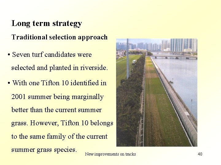 Long term strategy Traditional selection approach • Seven turf candidates were selected and planted