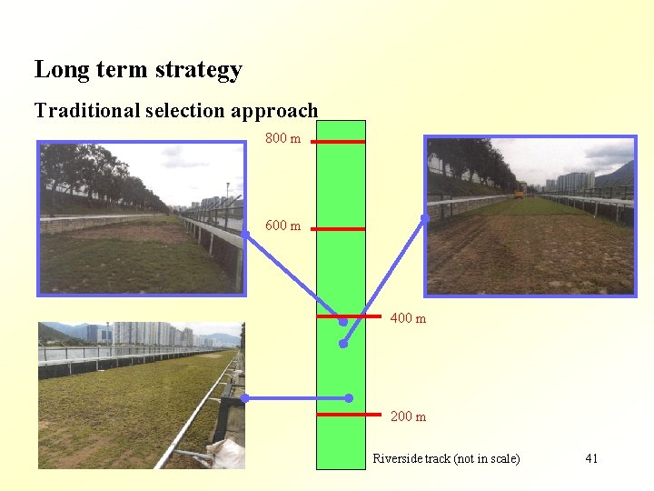 Long term strategy Traditional selection approach 800 m 600 m 400 m 200 m