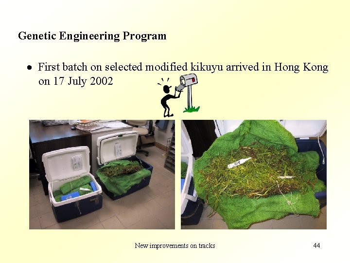 Genetic Engineering Program · First batch on selected modified kikuyu arrived in Hong Kong