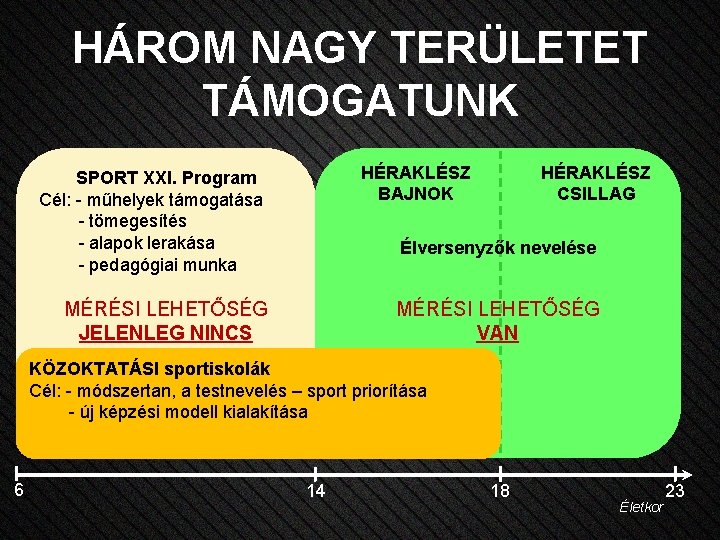 HÁROM NAGY TERÜLETET TÁMOGATUNK HÉRAKLÉSZ BAJNOK SPORT XXI. Program Cél: - műhelyek támogatása -