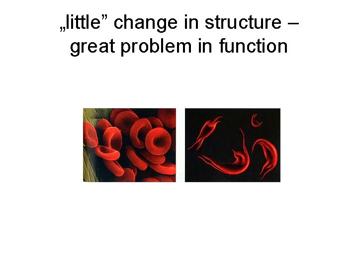 „little” change in structure – great problem in function 