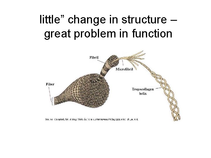 little” change in structure – great problem in function 