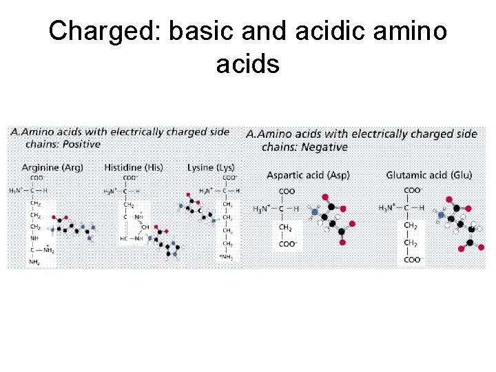 Charged: basic and acidic amino acids 