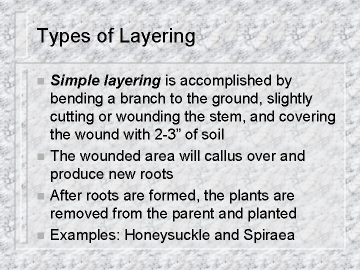 Types of Layering n n Simple layering is accomplished by bending a branch to