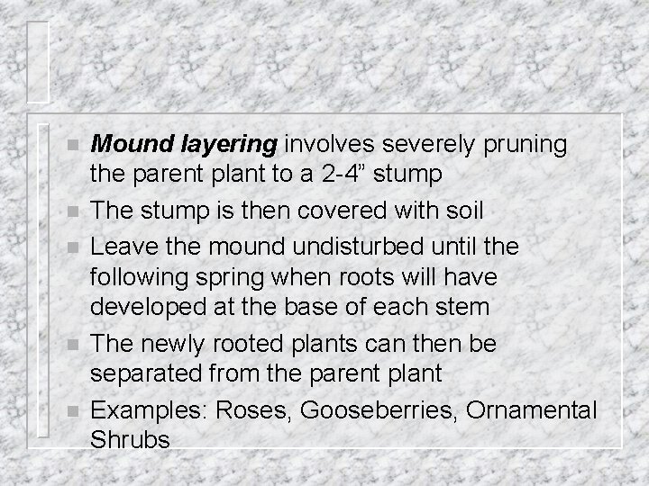 n n n Mound layering involves severely pruning the parent plant to a 2