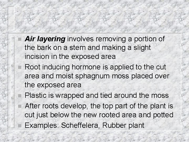 n n n Air layering involves removing a portion of the bark on a